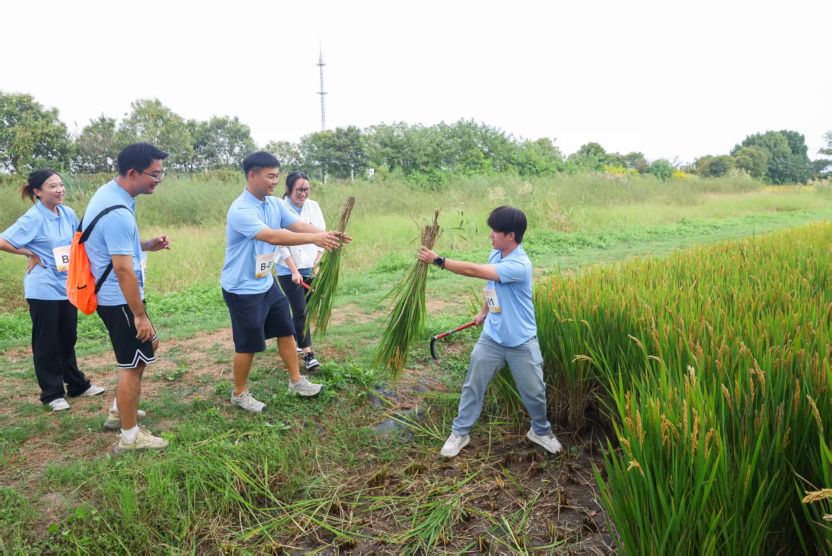 src, YOvsq src, YOvsq